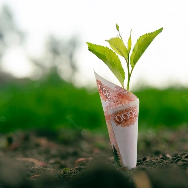 Economy