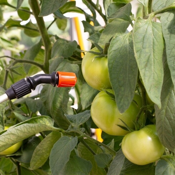 Plant protection